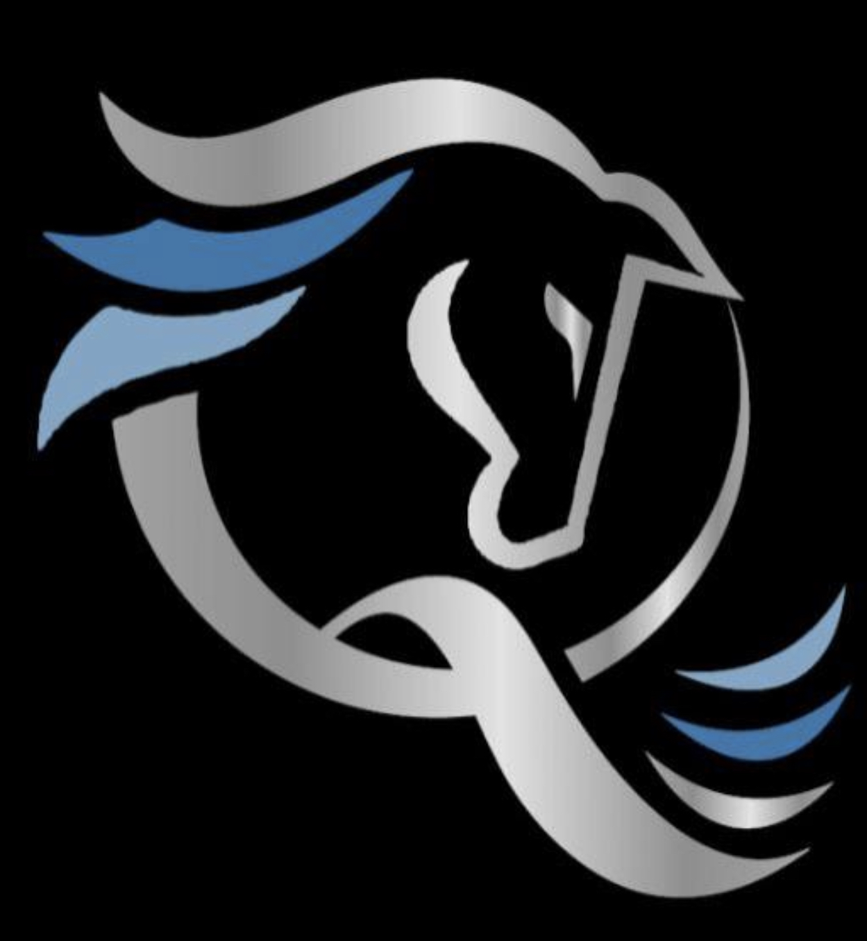 Quality Sport Horses logo