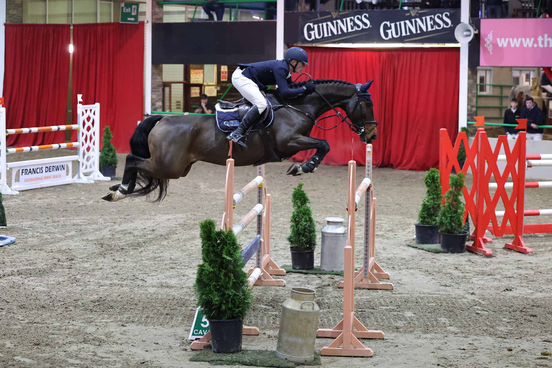 Showjumper clearing an oxer